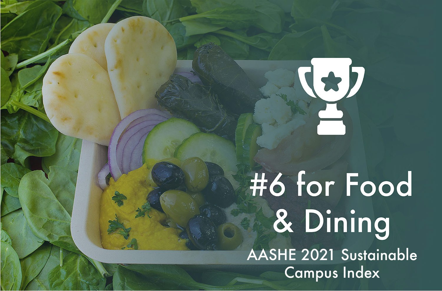 An icon of a trophy above text: #6 for Food & Dining / AASHE 2021 Sustainability Campus Index