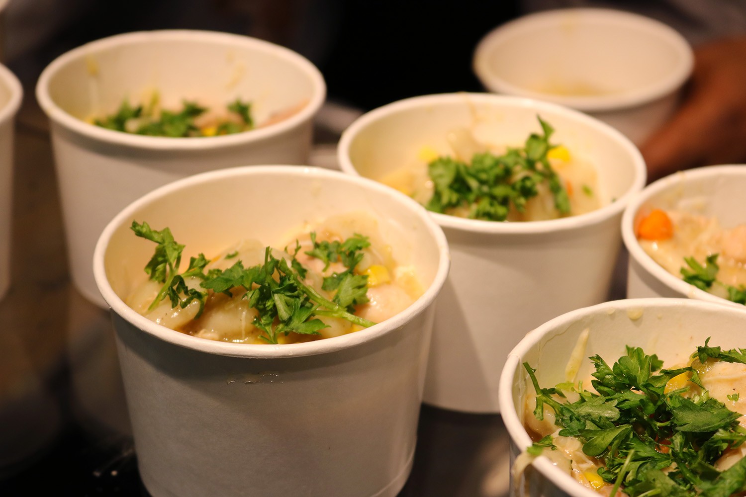 Soup cups of chicken and dumplings