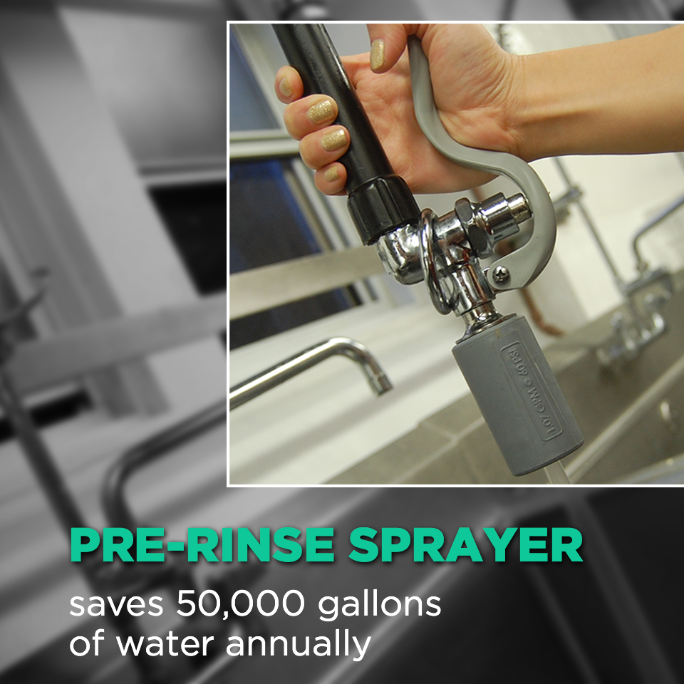 Pre-Rinse Sprayer