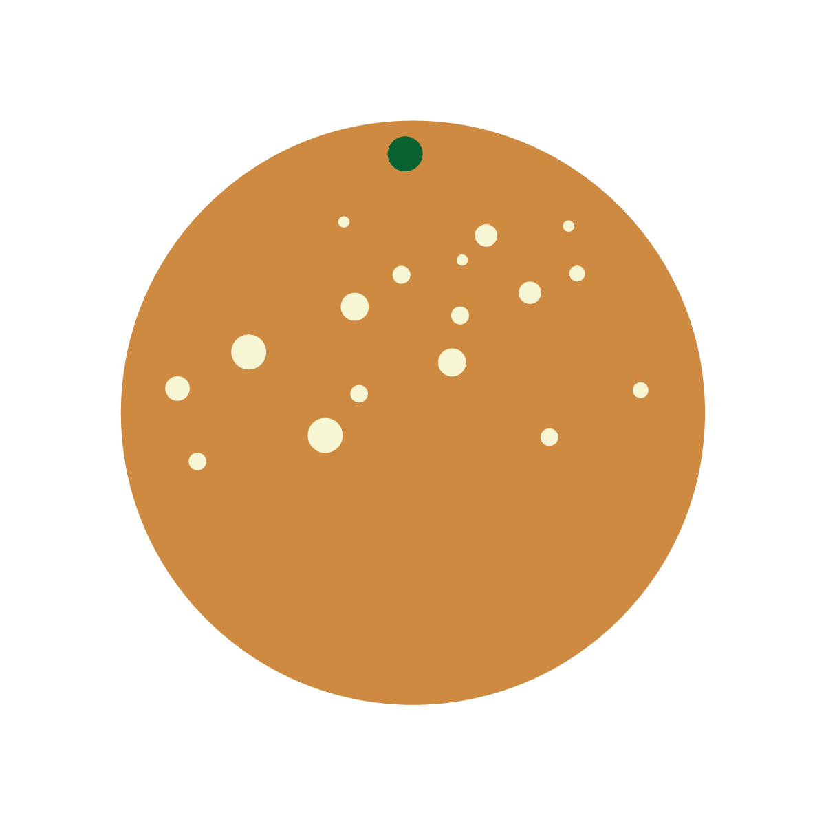 Clementines Clementines