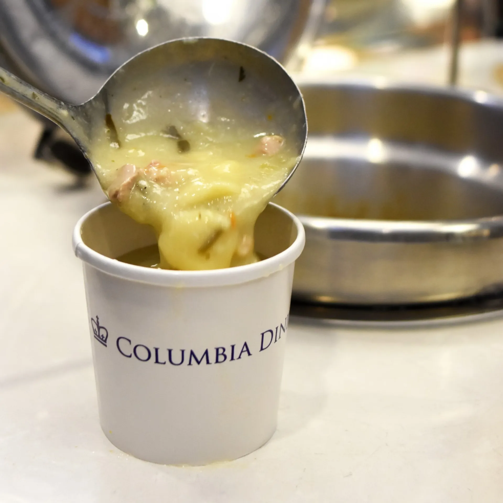 cup of soup